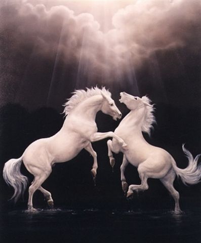 le jour de ma naissance j'ai dit oui  � la vie